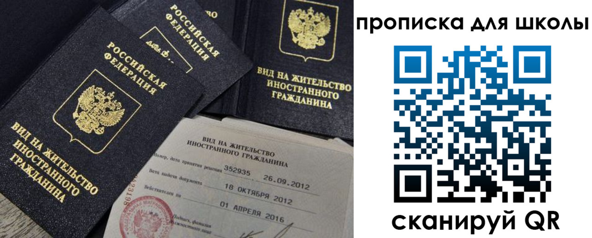 прописка паспорт в Димитровграде