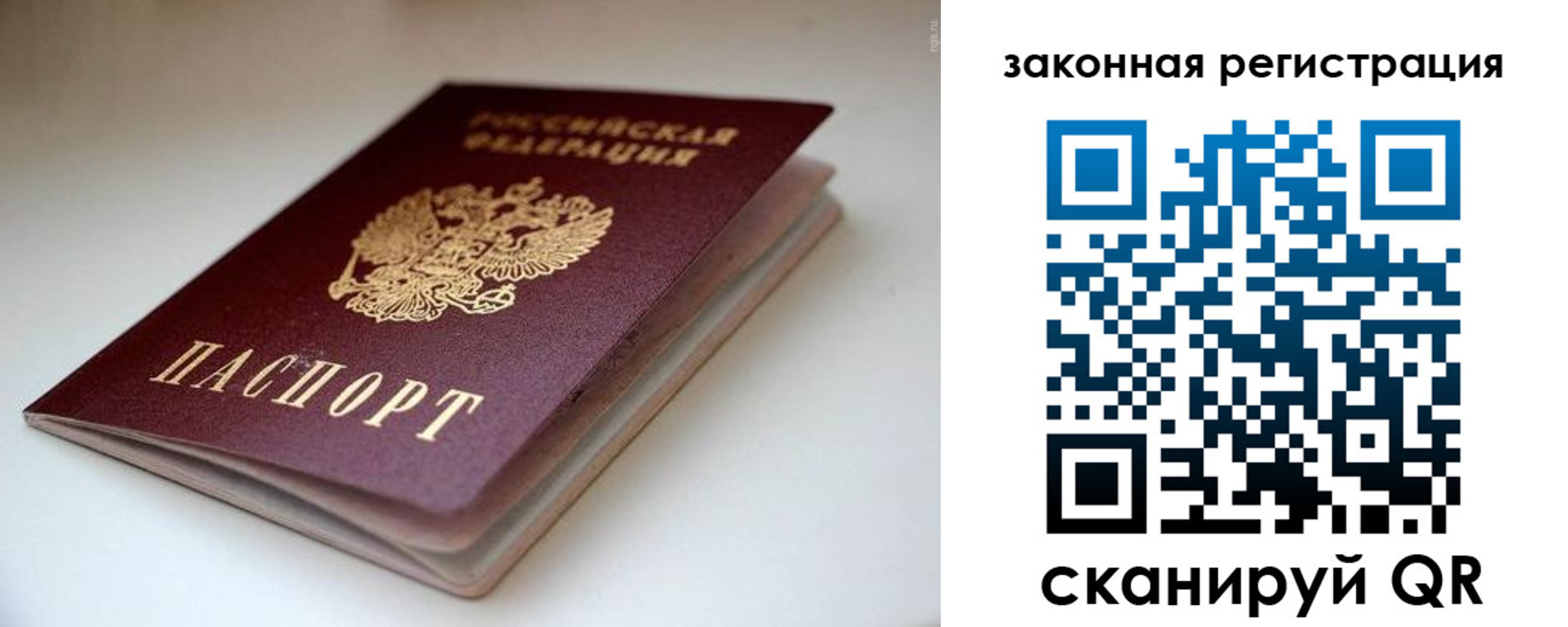 купить прописку в Димитровграде